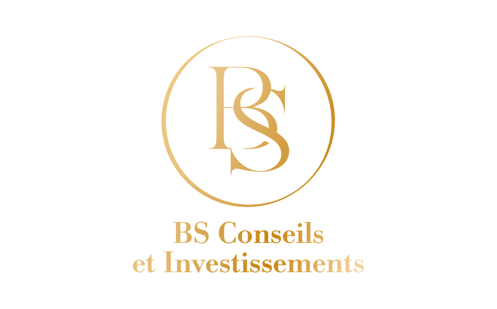 BS Conseils et Investissements